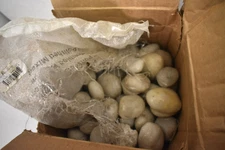 Ashman Online 1-3" White Beach Stone Pebbles Solar 20lbs For Garden Pathway2