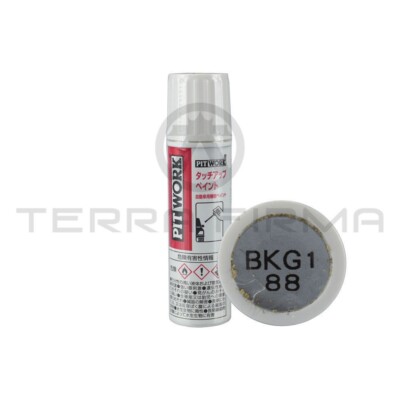 Nissan Skyline R32 GTR GTS4 GTST Touch Up Paint KG1 Jet Silver