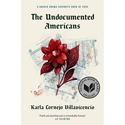 Die undokumentierten Amerikaner - Taschenbuch/Softback NEU Villavicencio, 03.06.2021