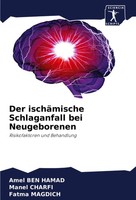 Der IschäMische Schlaganfall Bei Neugeborenen Risikofaktoren Und Behandlung Buch
