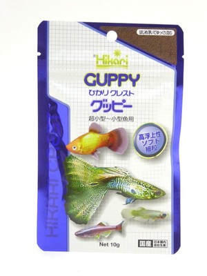 fancy guppy hikari