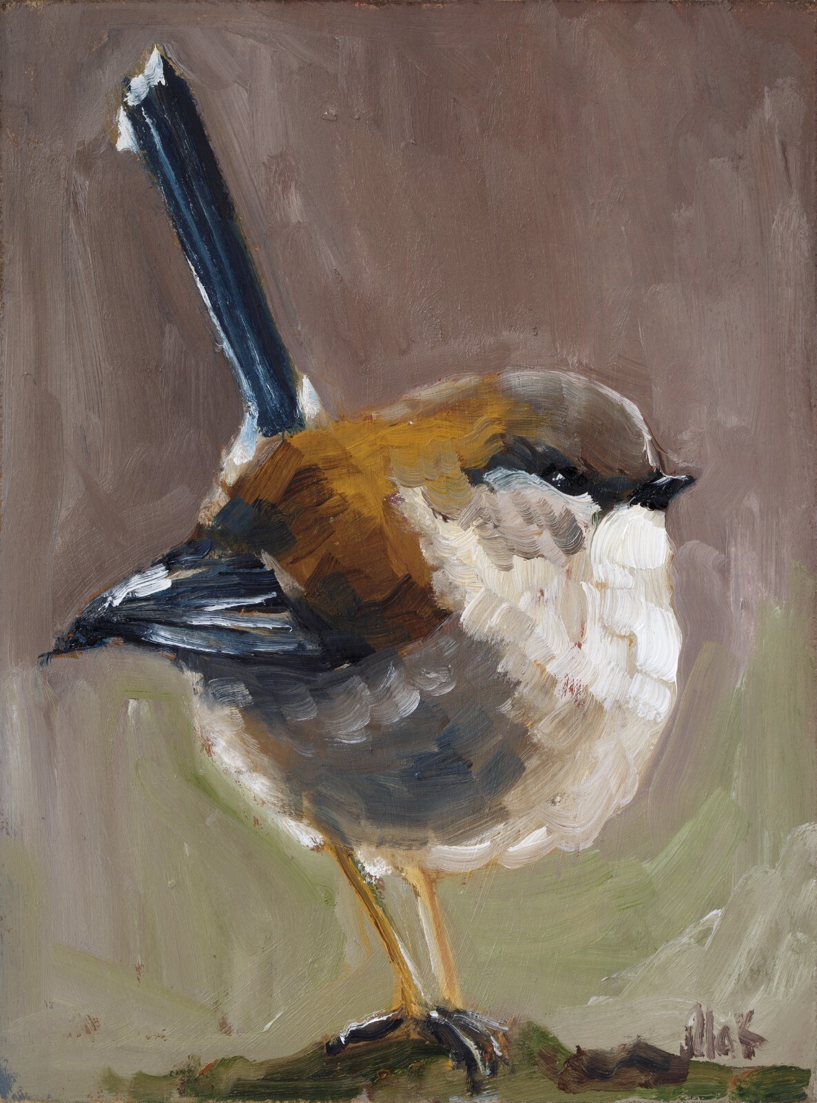 Fairy-wren Oil Painting Bird Original Small Animal Wall Art House Gift Home Art