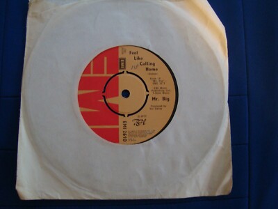 Mr Big - Feel Like Coming Home / Photographic Smile - VINYL 7'' SINGLE - EMI 2610