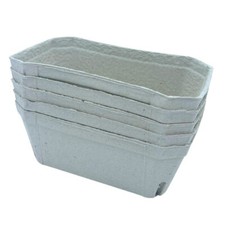 Bramley & Sage 500g Biodegradable Fibre Fruit Punnets (Set of 50)