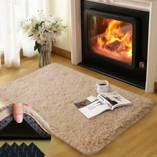 qulint 2x3 Rug for Bedroom Fluffy Area Rugs for Living Room Small Soft Shag F...