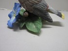 Bild 6 von 22