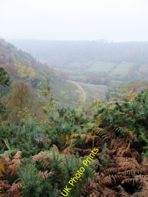 Foto 6x4 Ein nebliger Newton Dale Levisham mit Blick nach Keldgate Slack, der c2015