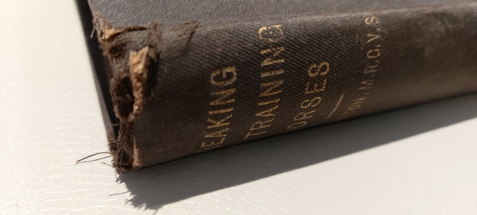 Breaking and Training Horses Frank Townend Barton R A Everett & Co 1st Ed 1904 Limitowana ilość, nowe wydanie