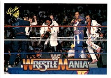 1990 Classic WWF #139 Rhythm & Blues