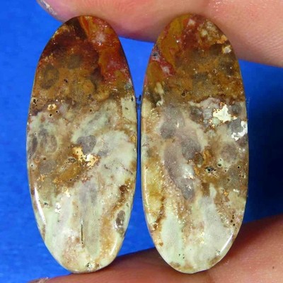 27.10Cts.100%Natural Palm Root Agate Oval Cab 12x30x3mm Royal Pair Top Gemstone