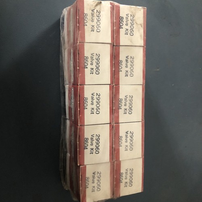 #ad 10 Pack Of GENUINE Briggs amp; Stratton 299060 Valve Kits New Old Stock $39.99