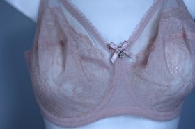 Wacoal 855186 Retro Chic T-shirt Unlined Underwire Bra Size 36DD rose