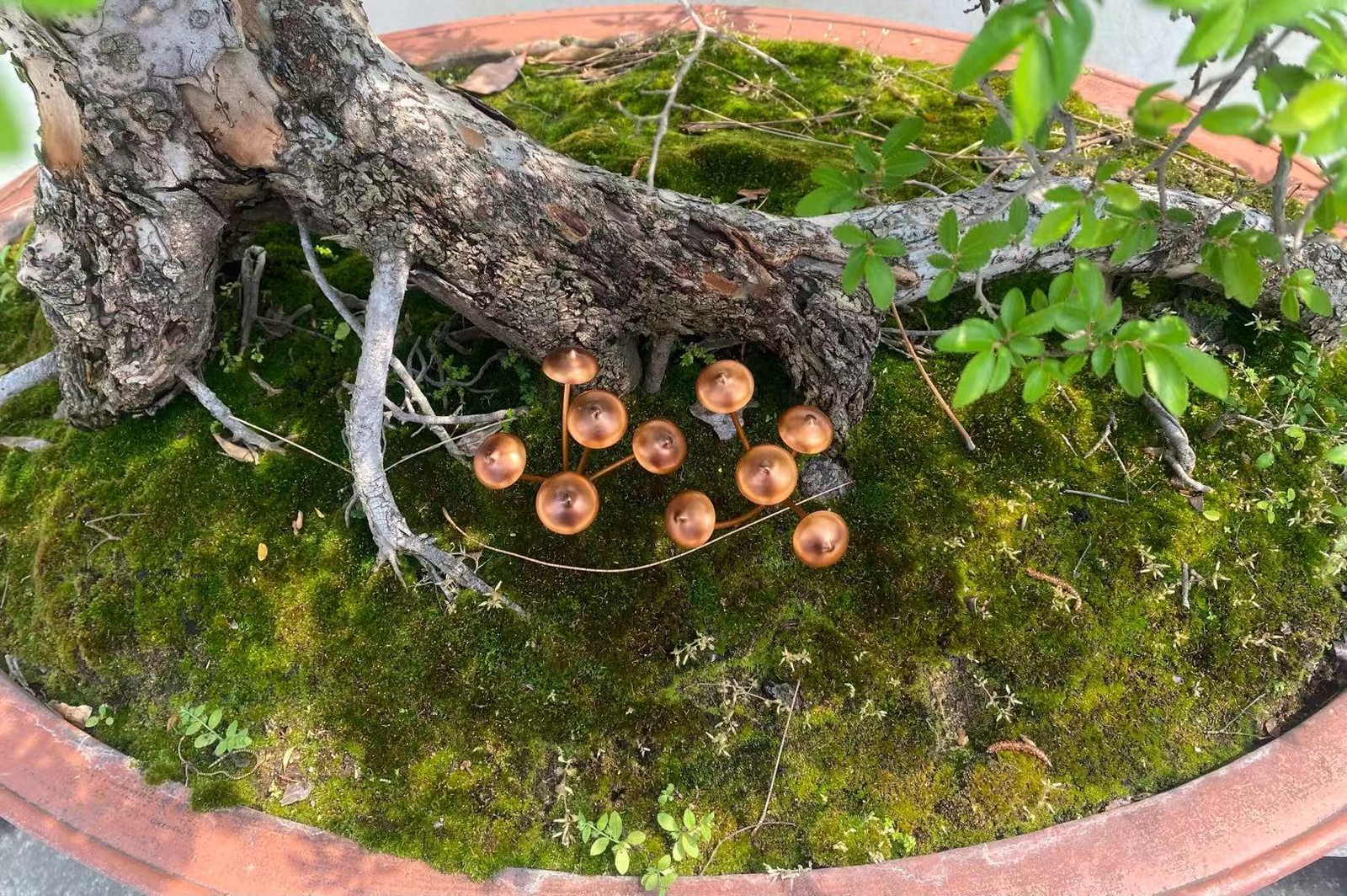 Copper Mushroom Garden Stakes Set of 2 Metal Planter Border Ornament