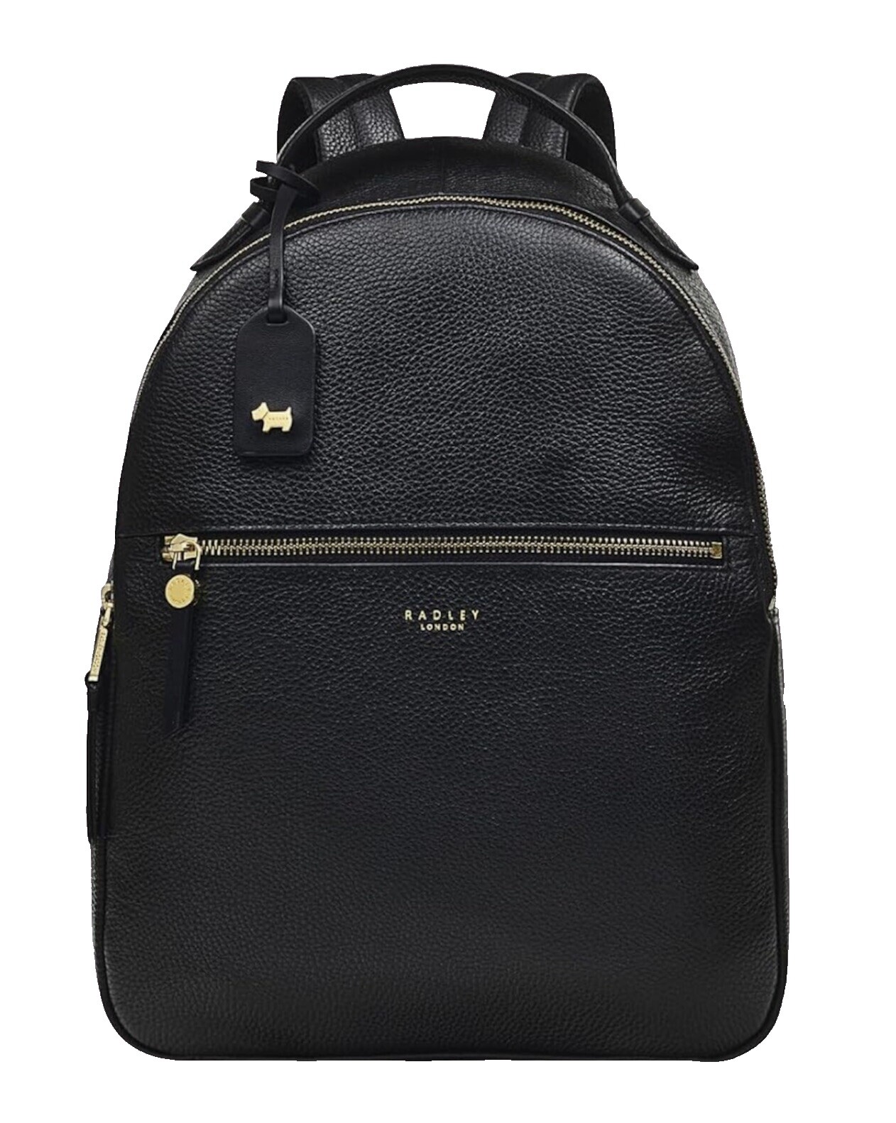 RADLEY LONDON Black Leather Slim Backpack with Gold Hardware Black Small Zip Around Backpack | Suffolk Road AW24 | Radley  main image 3