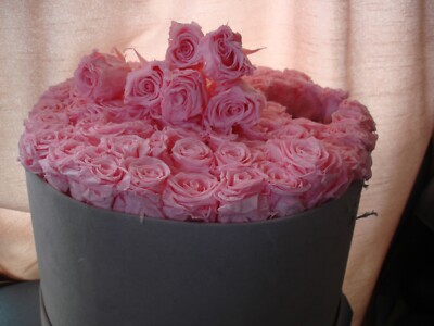 Konservierte Rose zum Selbermachen kreative ewige Rosenblumen Kopf romantische Geschenke x 6 Rosen