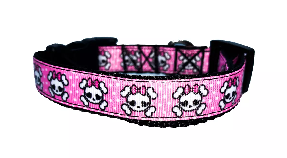 Pink skull and 2025 crossbones dog collar