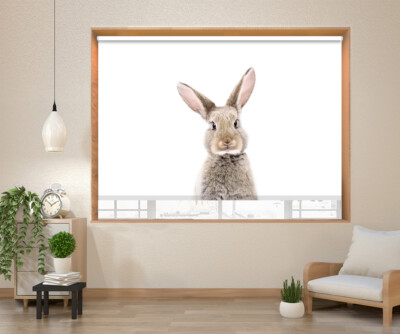 Hase Kaninchen Peeking Tier Kinder Schlafzimmer Verdunkelung Rollos bedruckt Bild