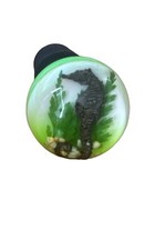 Wine Bottle Stopper -SEAHORSE- shells- plant-sea life - green background