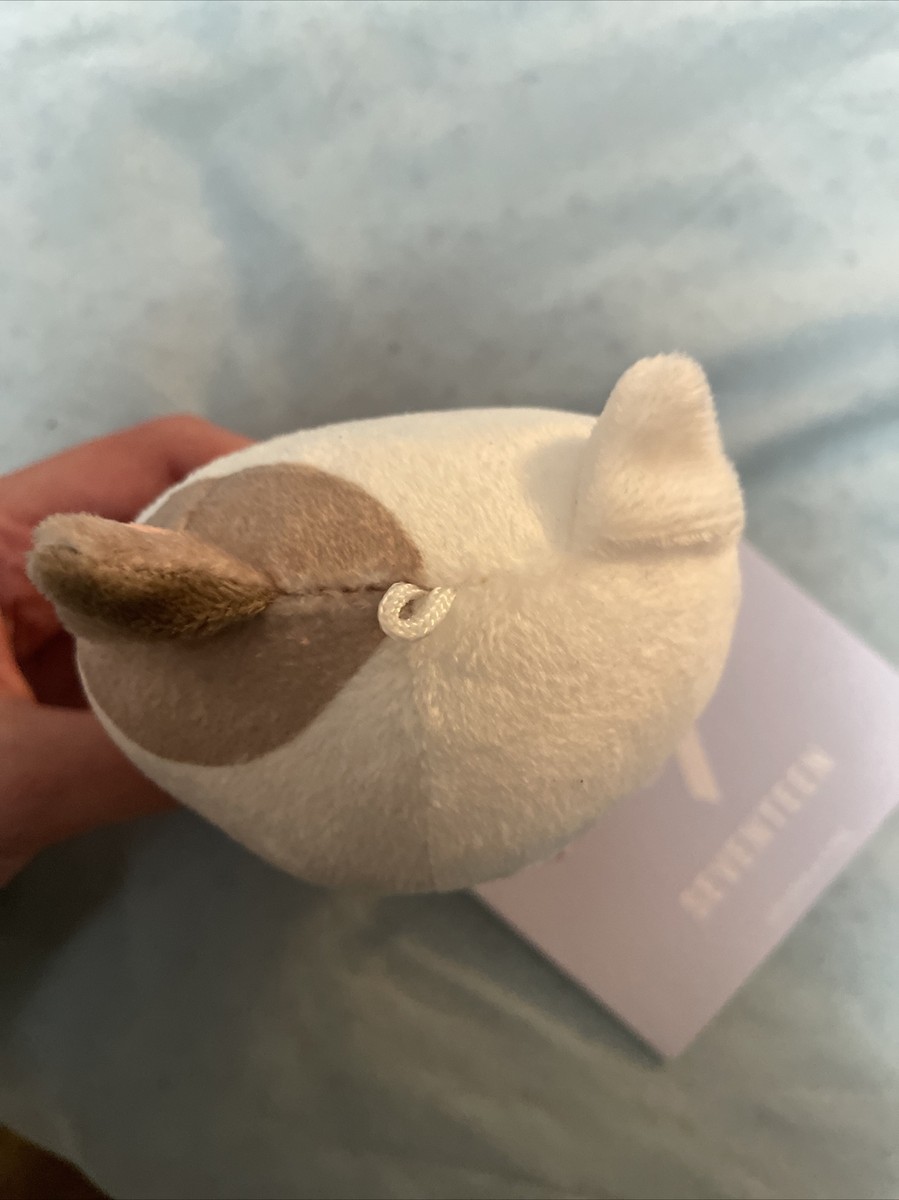 Seventeen Dino Plush Toy | eBay