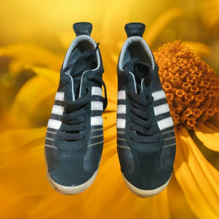 chile 62 trainers