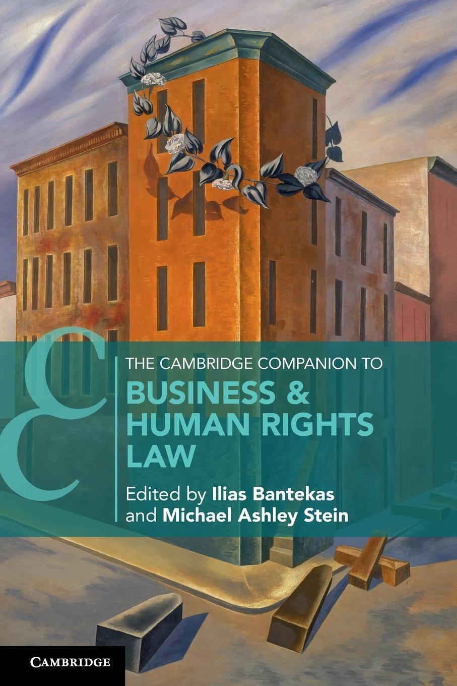 Thumbnail - Michael Ashley Stein | The Cambridge Companion To Business & Human