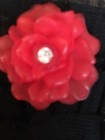 Bild 3 von 12