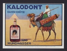 WIEN, Werbung 1914, F. A. Sarg's Sohn & Co. Kalodont Zahncreme Zahnpasta