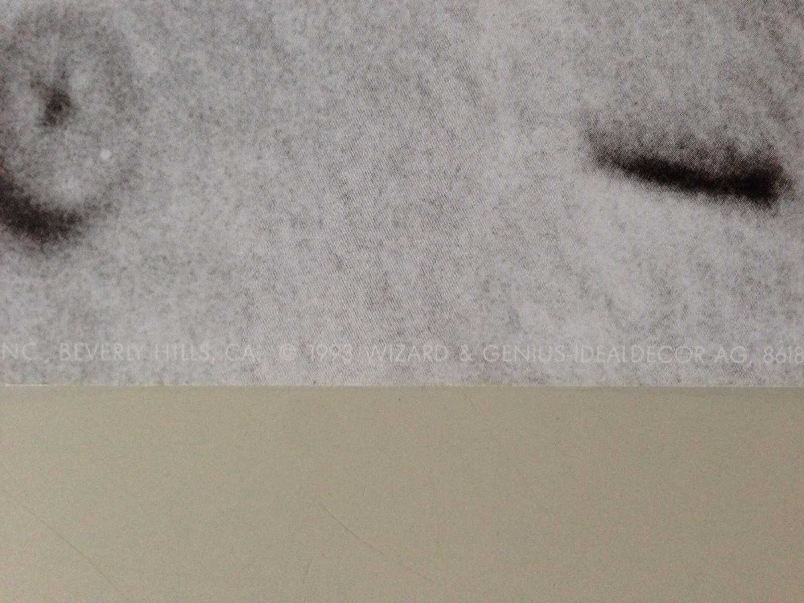 Picture 6 of 7
