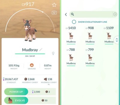5x Mudbray - Pokemon Go New   