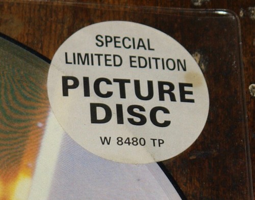 MADONNA ~ OPEN YOUR HEART ~ UK LIMITED EDITION PICTURE DISC 12" 1986 - Picture 2 of 3