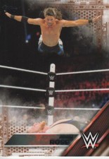 Adam Rose 2016 Topps WWE Bronze Parallel Card #1