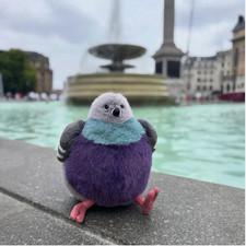 Leicester Pigeon - London selfridges exclusive BNWT  Limited Release 