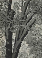 Christmas Dinner at Bracebridge Hall 1970 Menu & Program Yosemite Ansel Adams 