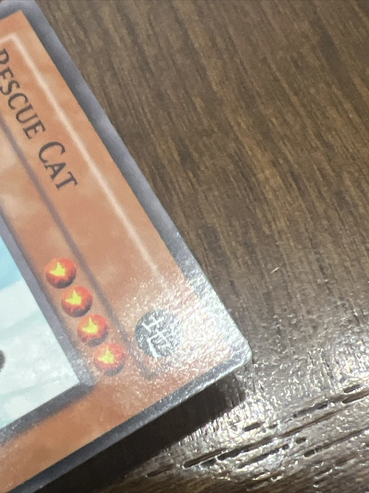 Yu-Gi-Oh! TCG Rescue Cat Flaming Eternity FET-EN033 1st Edition Common LP - Image 3 of 4