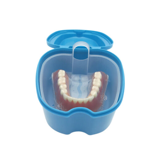 case Denture case Denture Bath Dental Appliance box - Afbeelding 1 van 4