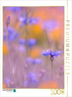 Calvendo Puzzle Kornblumen Im Feld 1000 Teile Puzzle Hoch | 1000 Teile Lege-Größ