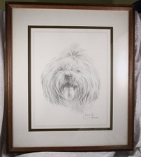 Shih Tzu by Joel Kirk framed picture 14.5