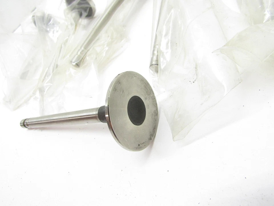6 New ELGIN 1.5" Exhaust Valves 1955-1993 Sb Chevy E-1077 - Image 4 of 4
