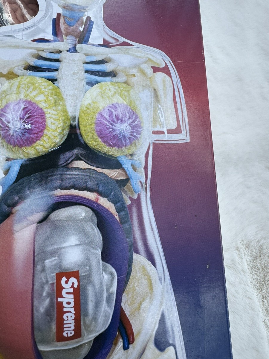 SUPREME Male & Female Anatomy Model Set Red | 2018 | 4D Human RARE