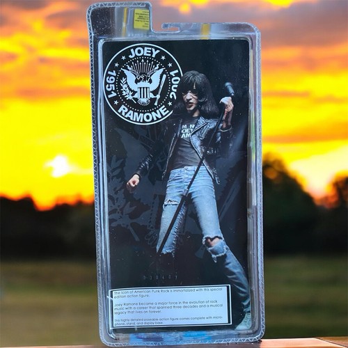 NECA The Ramones Joey Ramone Action Figure 2008 | eBay