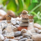 Wishing Bottles Mini Glass Bottles Liquid Storage Bottles DIY Accessories