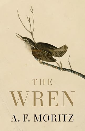 The Wren (PB 2026) - Image 3