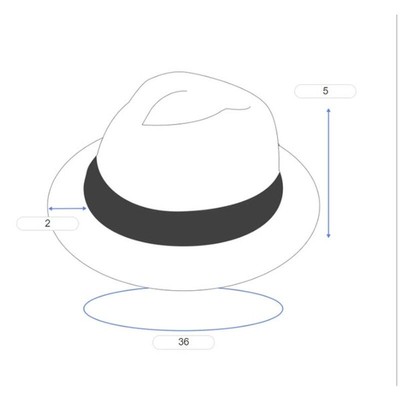 AQUA “Black Black” Straw Pantova Fedora, NWT! | eBay display picture 1