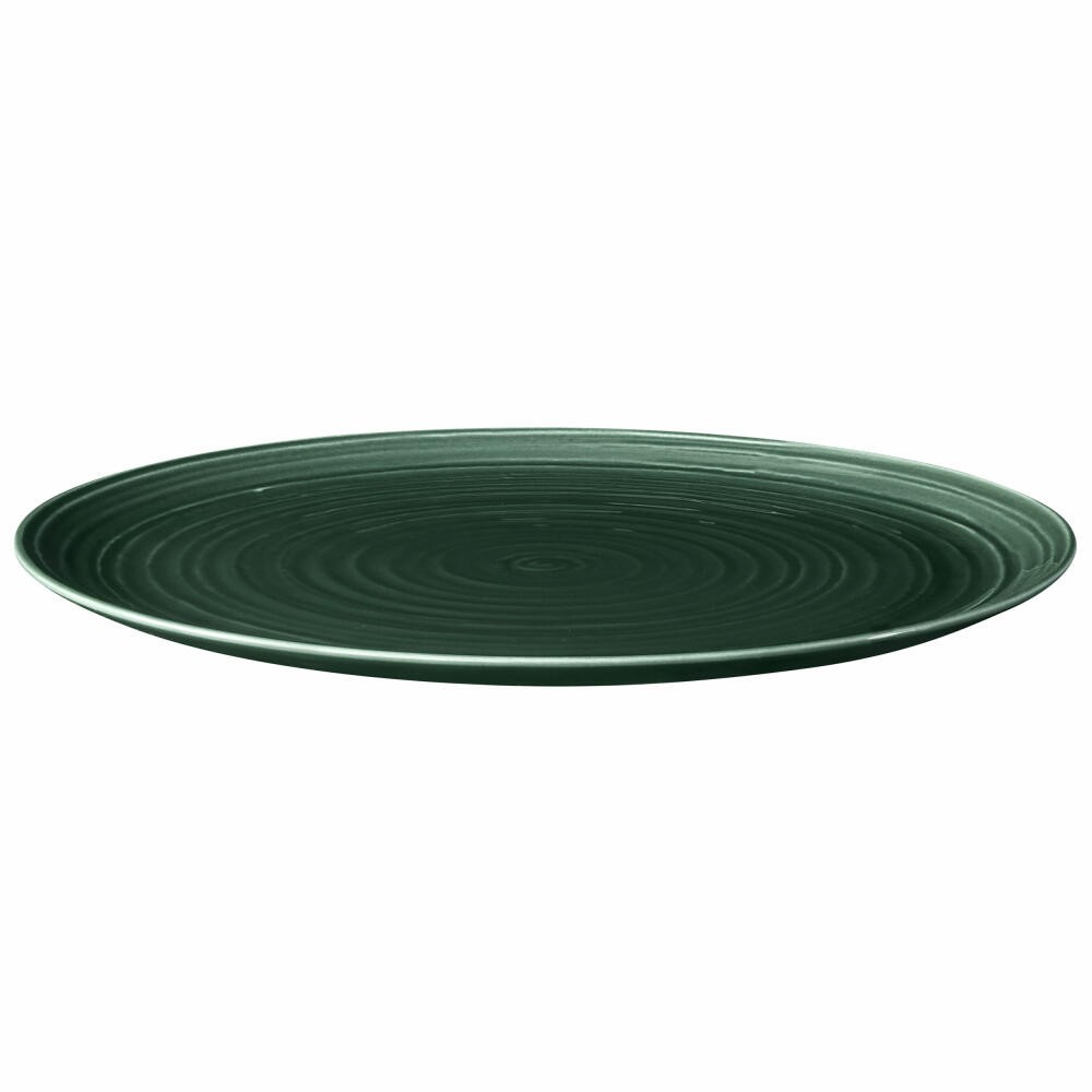 Seltmann Weiden Terra Speiseteller Teller Moosgrün Ø 31.5 cm 001.766887