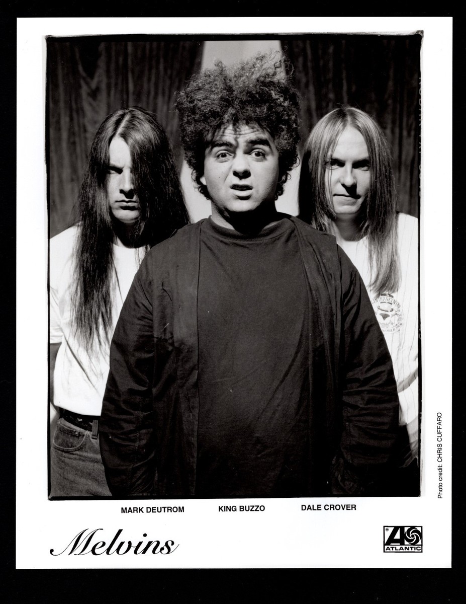 MELVINS CD 9枚 まとめ売り VINTAGE ORIGINAL Ltd Edition Promo Photo 8x10 Melvins on Atlantic