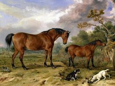 Village animals horses dogs J. Ward Tile Mural Kitchen Backsplash Ceramic 10x8