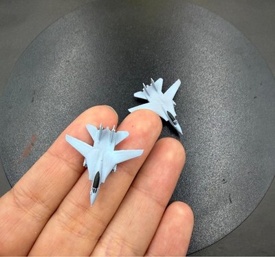 3D Printed 1/350/400/700  Iranian F-14 fighter aircraft Finished aircraft model