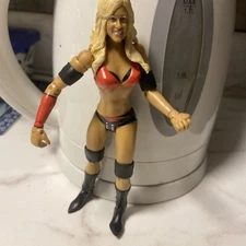 Item Is A Mattel Wwe Wrestler Kelly Kelly Action Figure