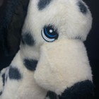 Bild 4 von 9