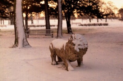 Foto 6x4 Eingang zu Weelsby Woods Cleethorpes Es gibt zwei Löwen, die um 1981